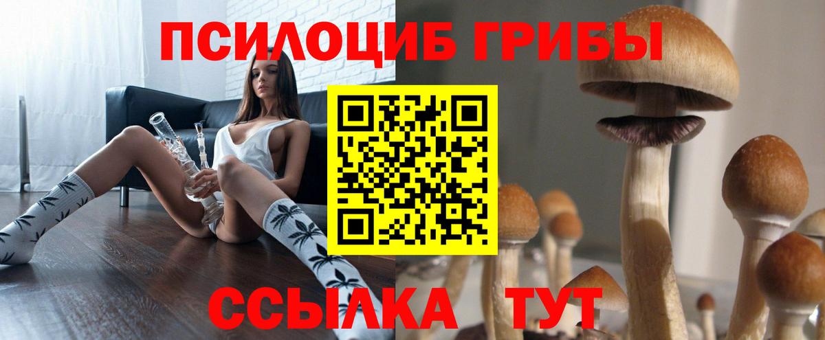 купить   Псилоцибиновые грибы Psilocybe  Удомля  Вход с VPN  Галлюциногенные грибы прущие грибы 